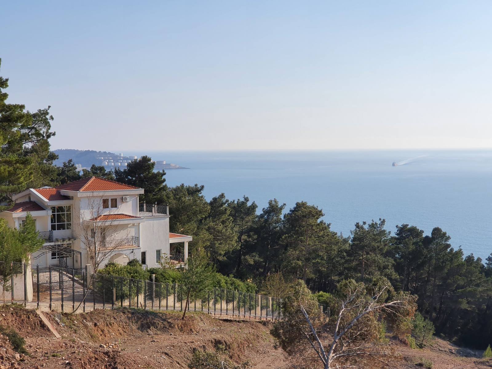 viber_image_2025-10-14_08-12-11-394