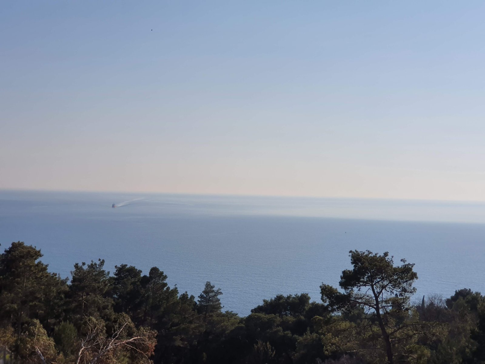 viber_image_2025-10-14_08-12-11-666