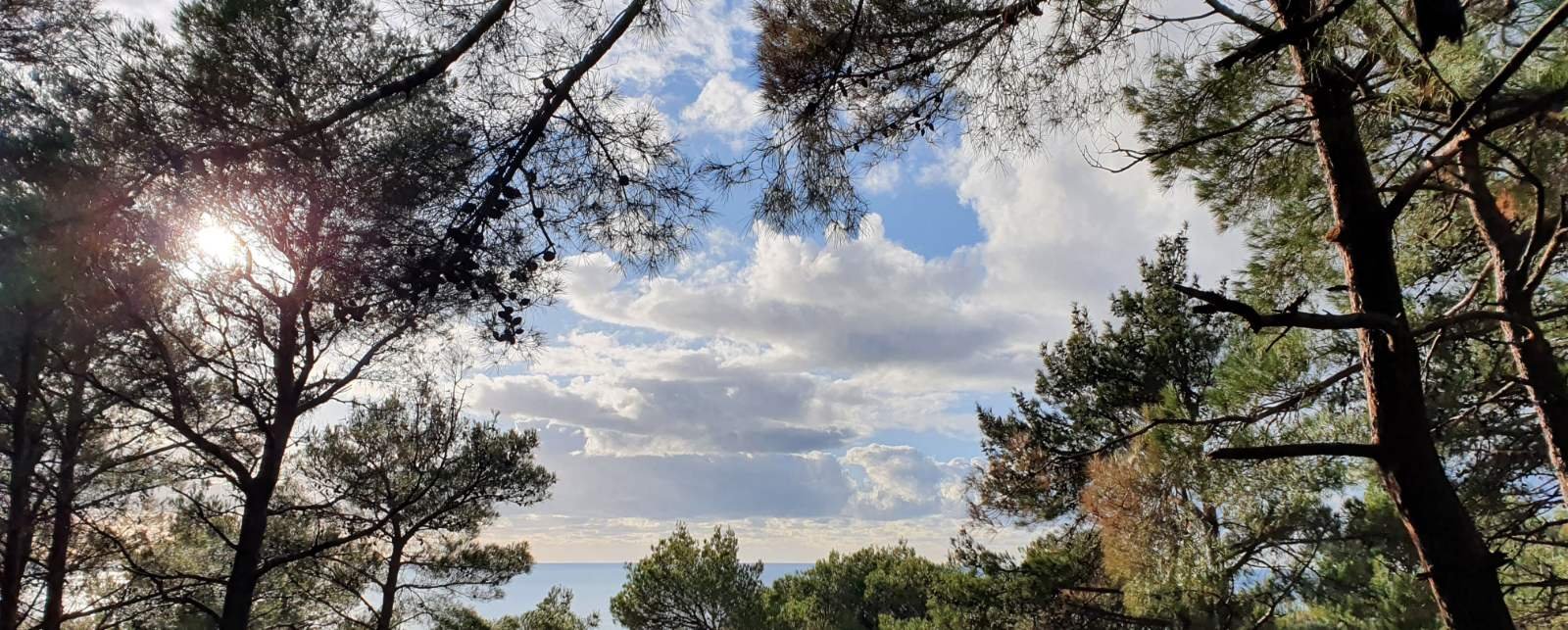 viber_image_2025-10-14_08-12-12-452