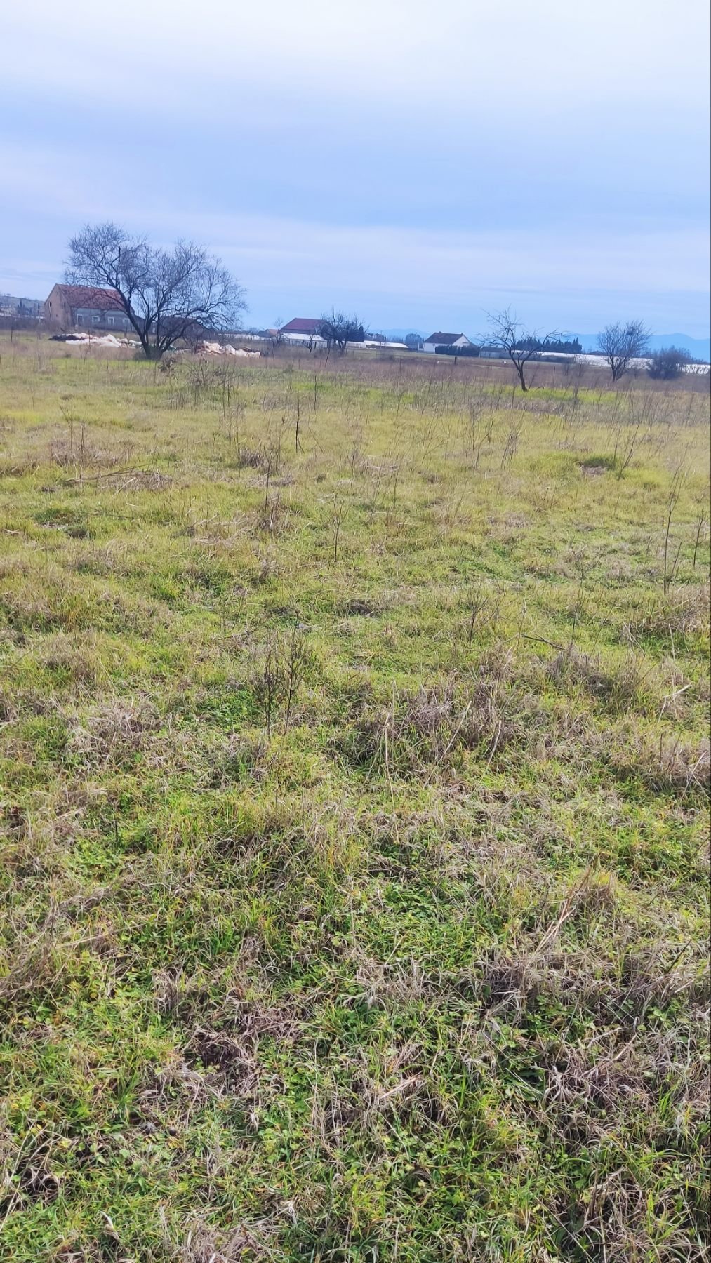 viber_image_2025-10-24_17-47-45-957