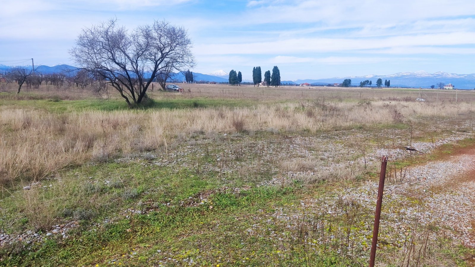 viber_image_2025-10-24_17-47-46-315