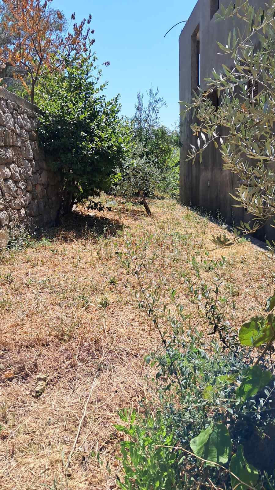 viber_image_2025-10-25_07-51-52-671