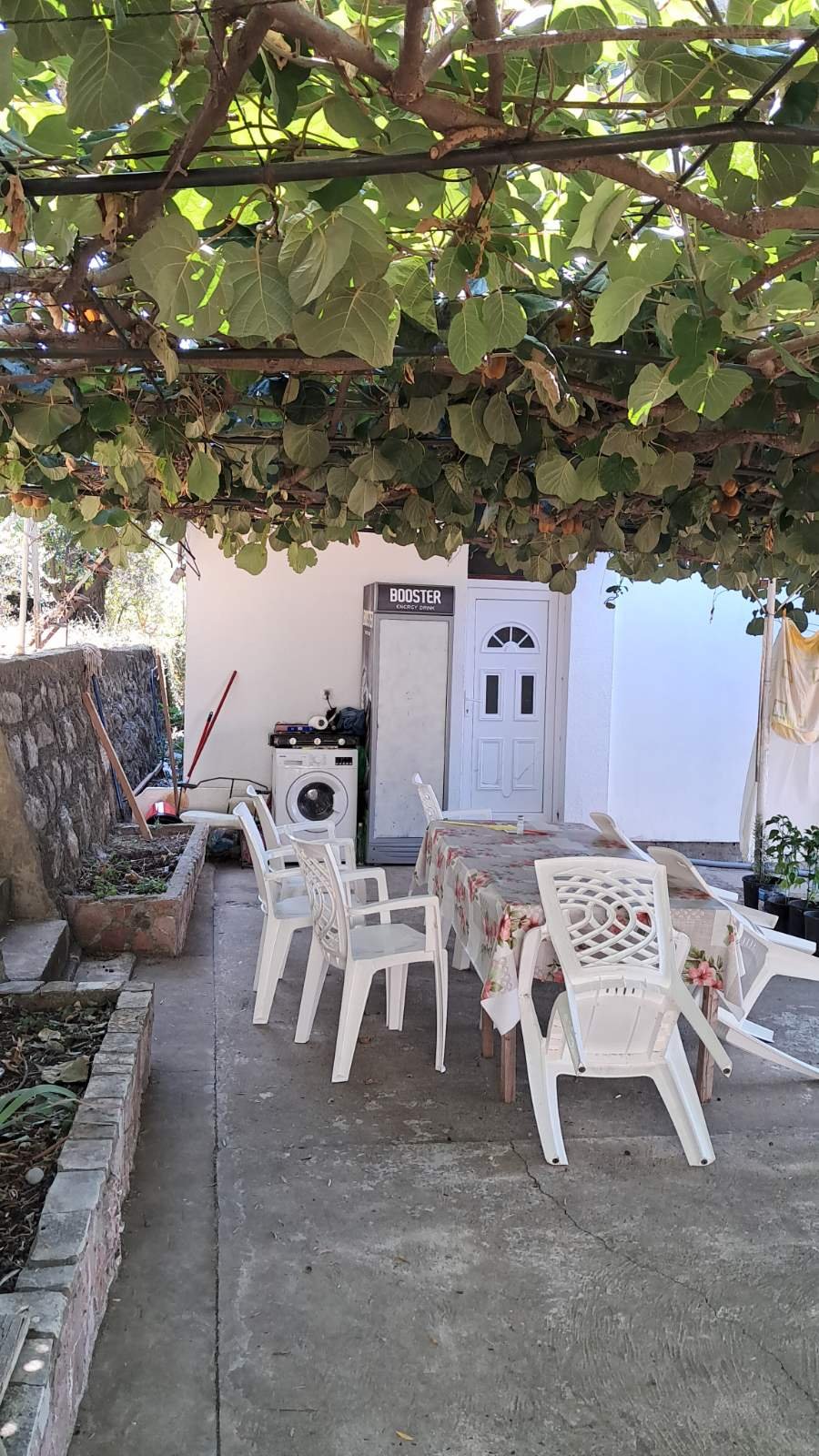 viber_image_2025-10-25_07-51-52-960