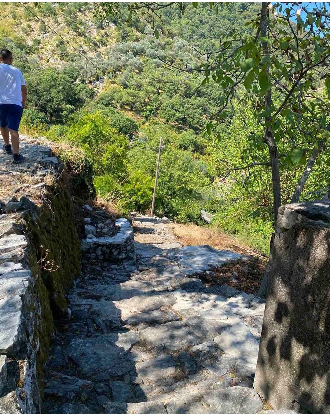 IMG_20260211_150033 (1)