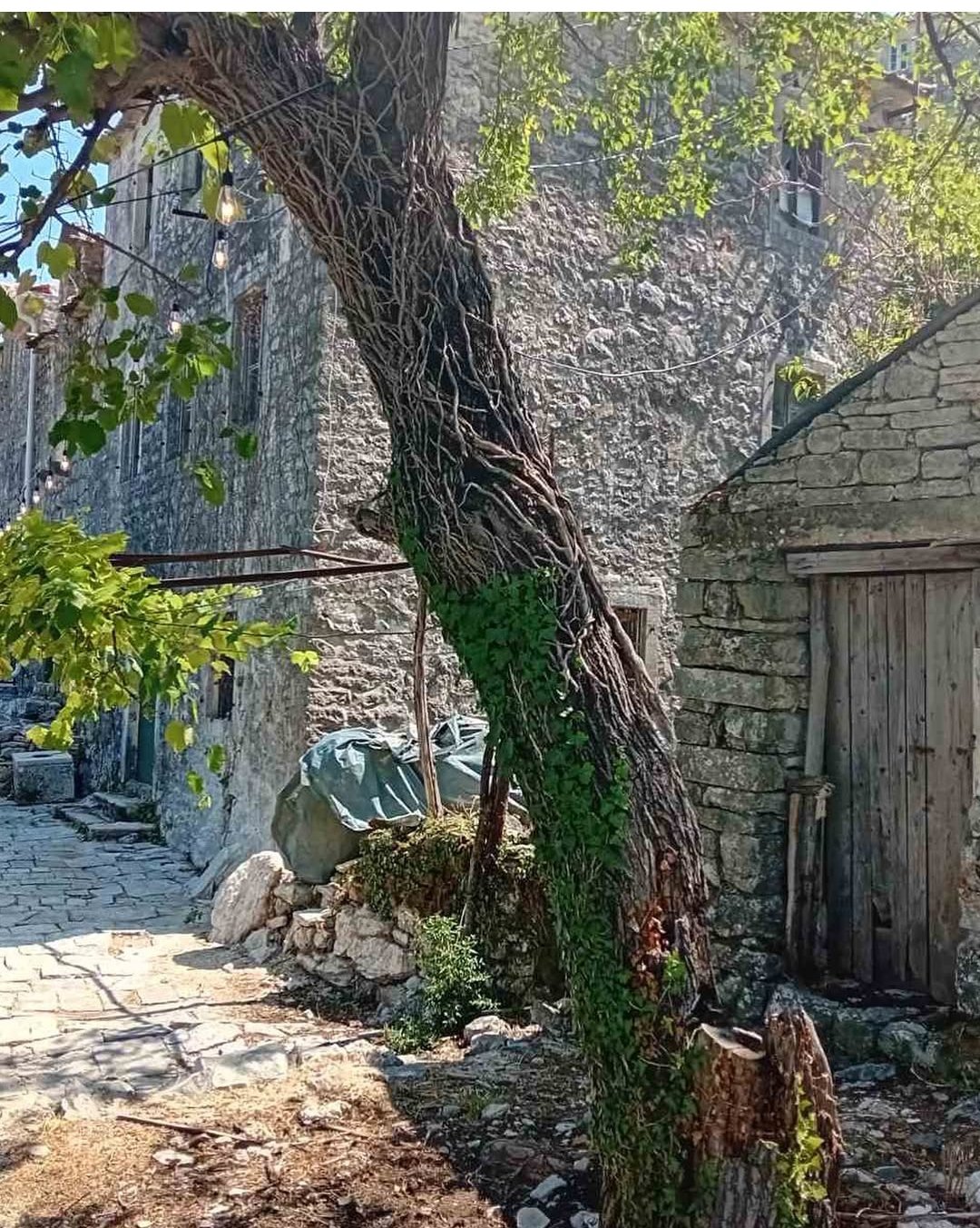 IMG_20260211_150058 (1)