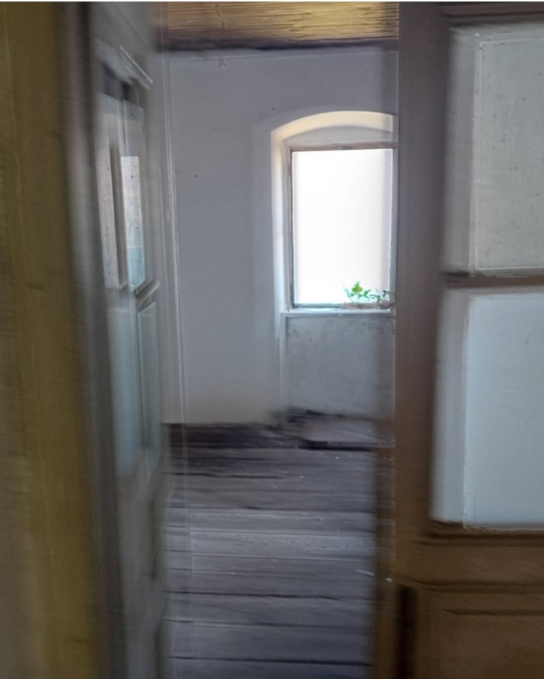 IMG_20260211_150115 (1)