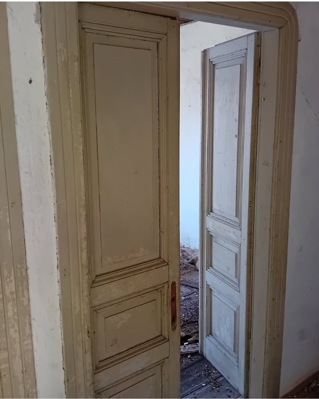 IMG_20260211_150133 (1)