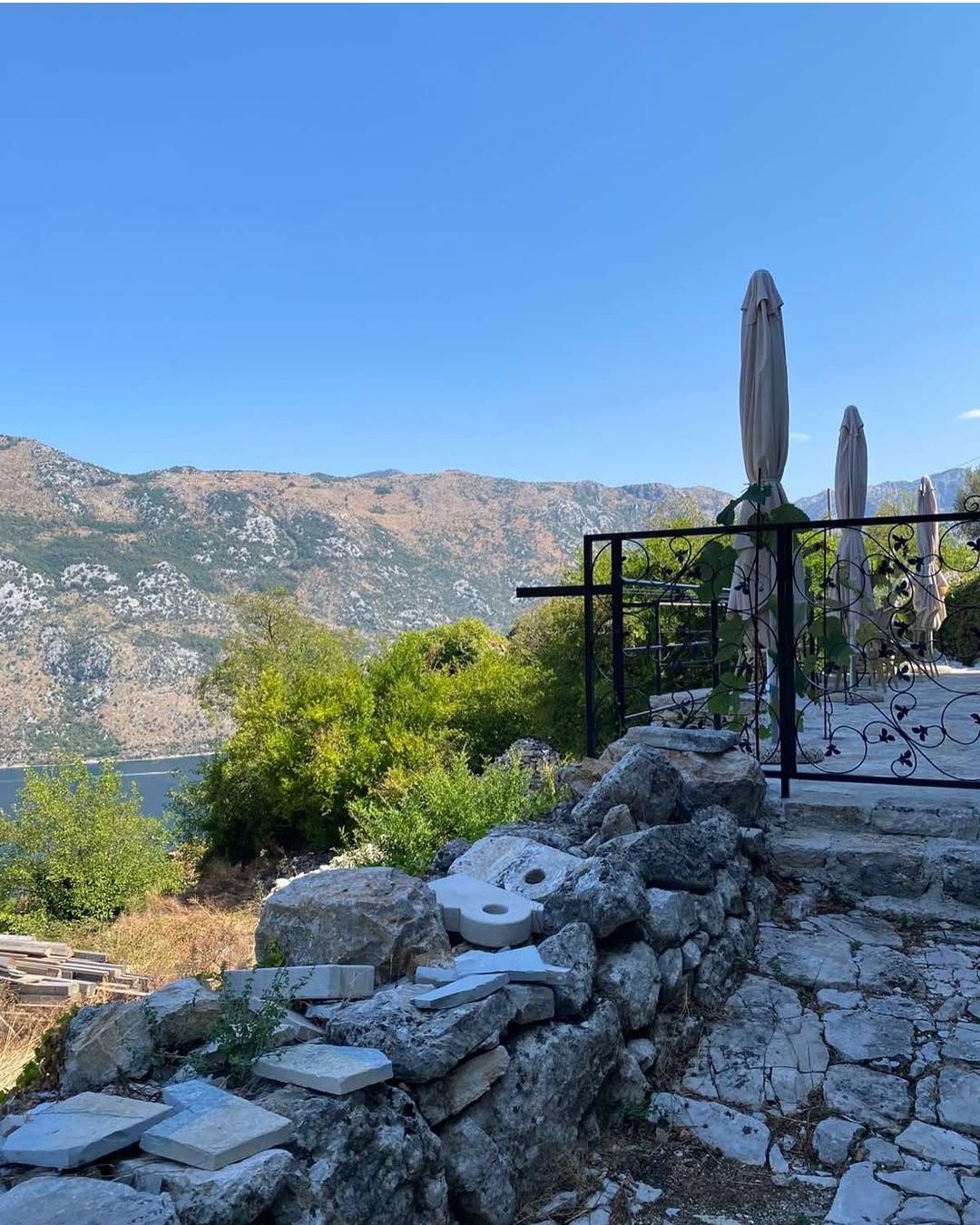 IMG_20260211_150210 (1)